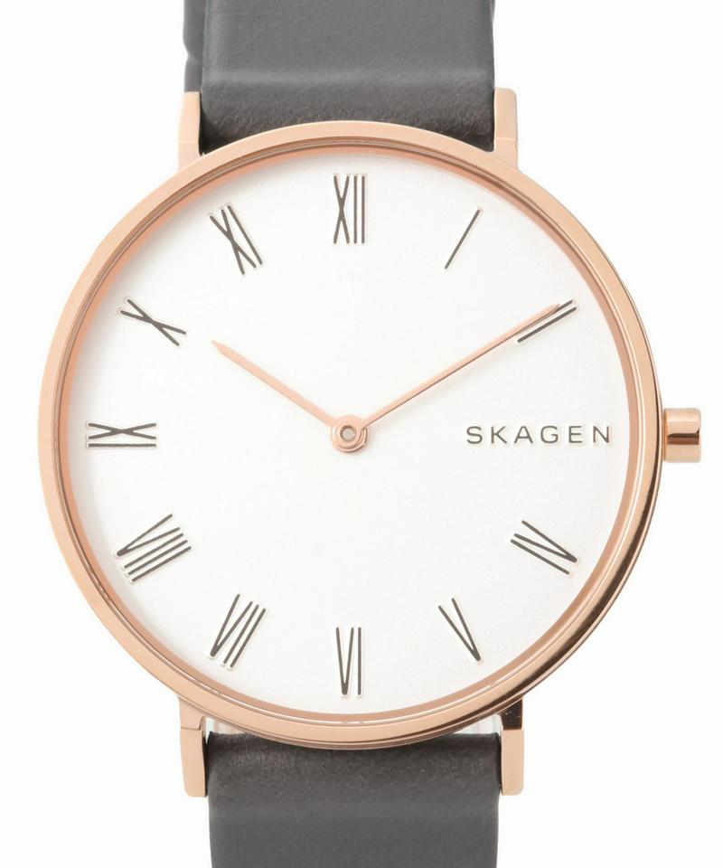 SKAGEN SKW2674