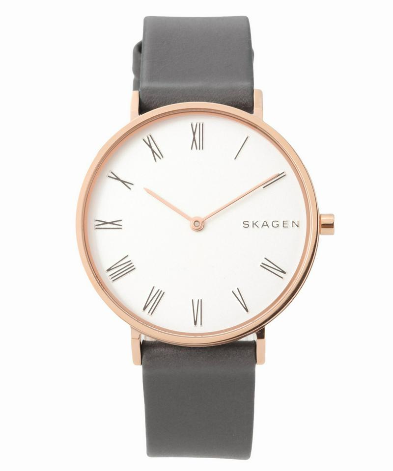 SKAGEN SKW2674