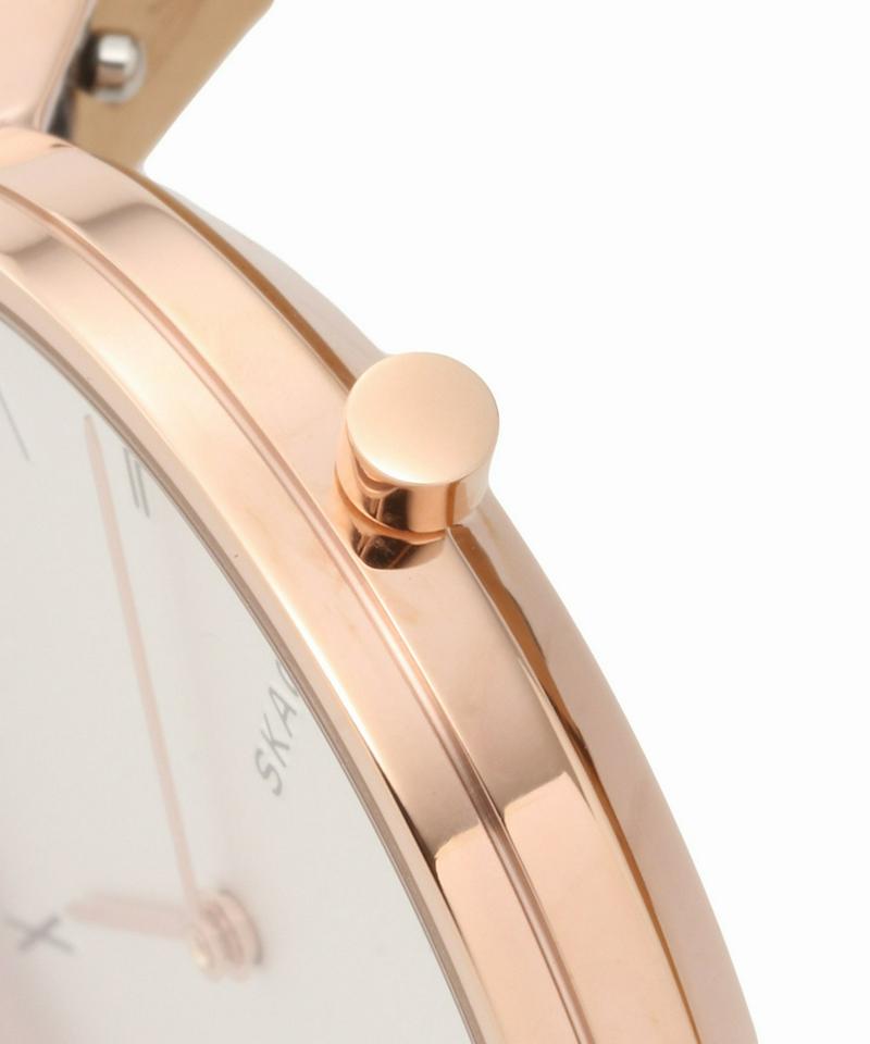 SKAGEN SKW2674