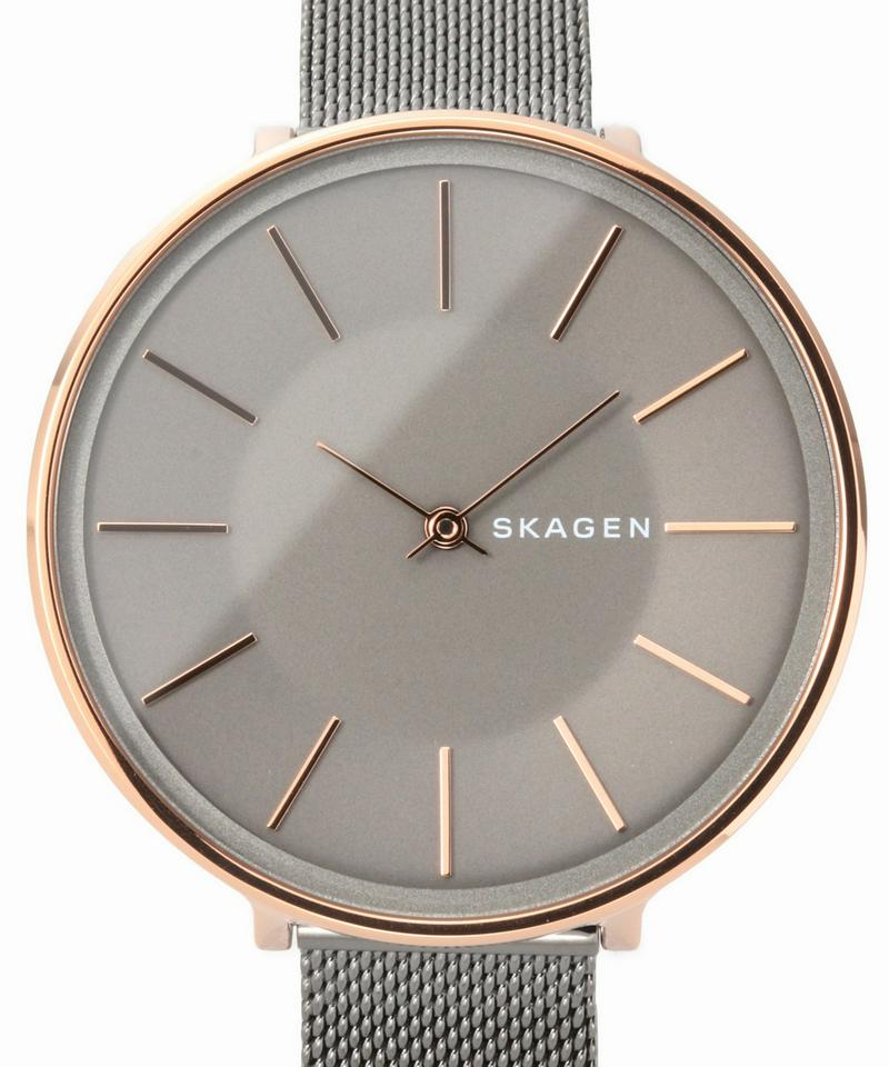 SKAGEN SKW2689