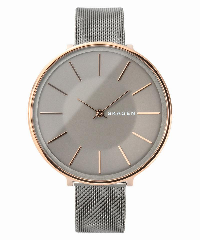 SKAGEN SKW2689