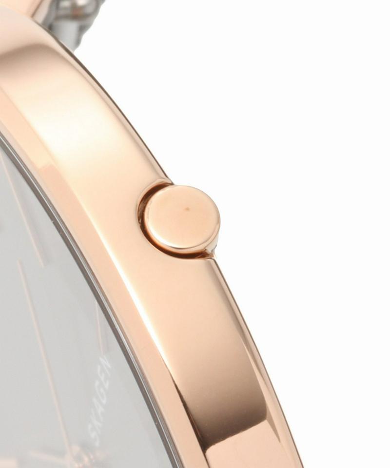 SKAGEN SKW2689