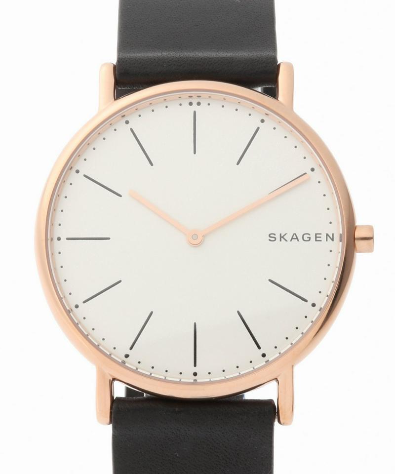 SKAGEN SKW6430