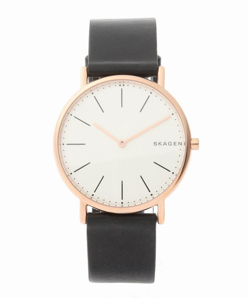 SKAGEN SKW6430
