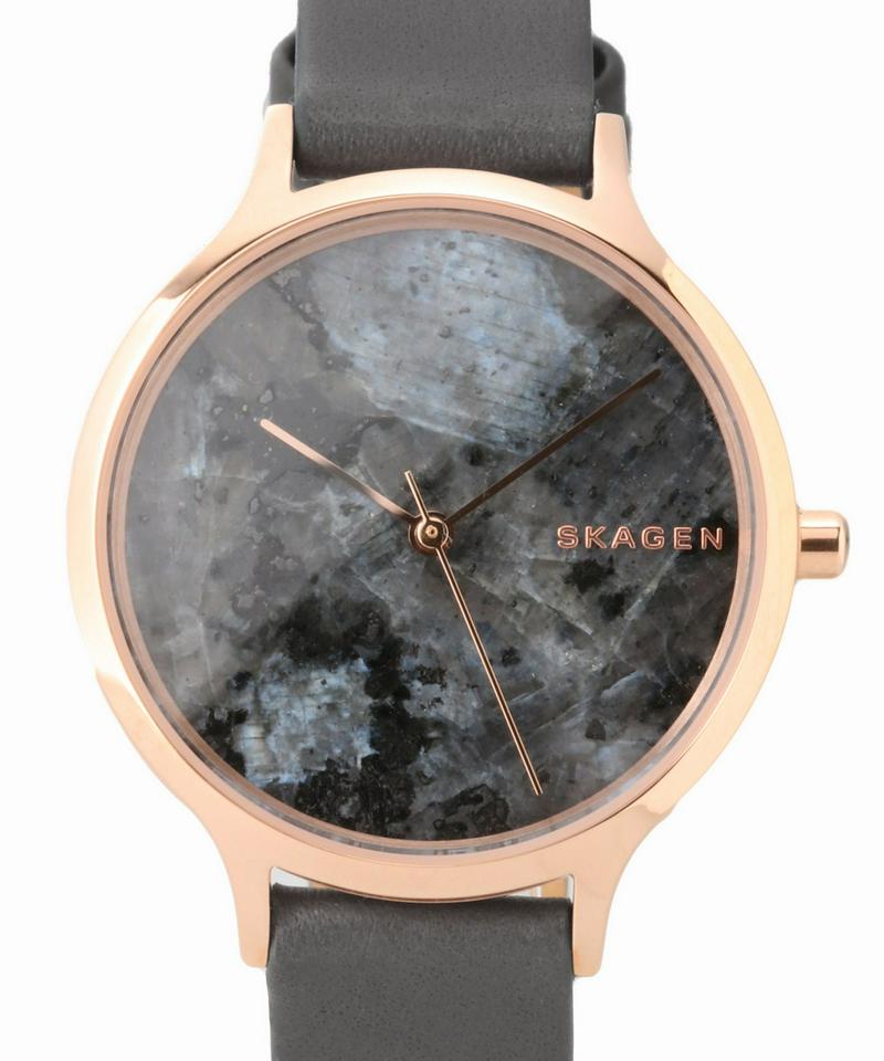 SKAGEN SKW2672