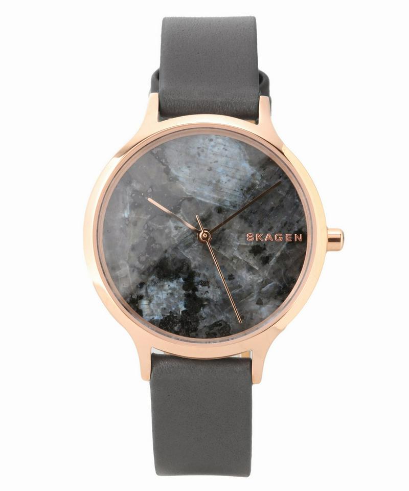 SKAGEN SKW2672
