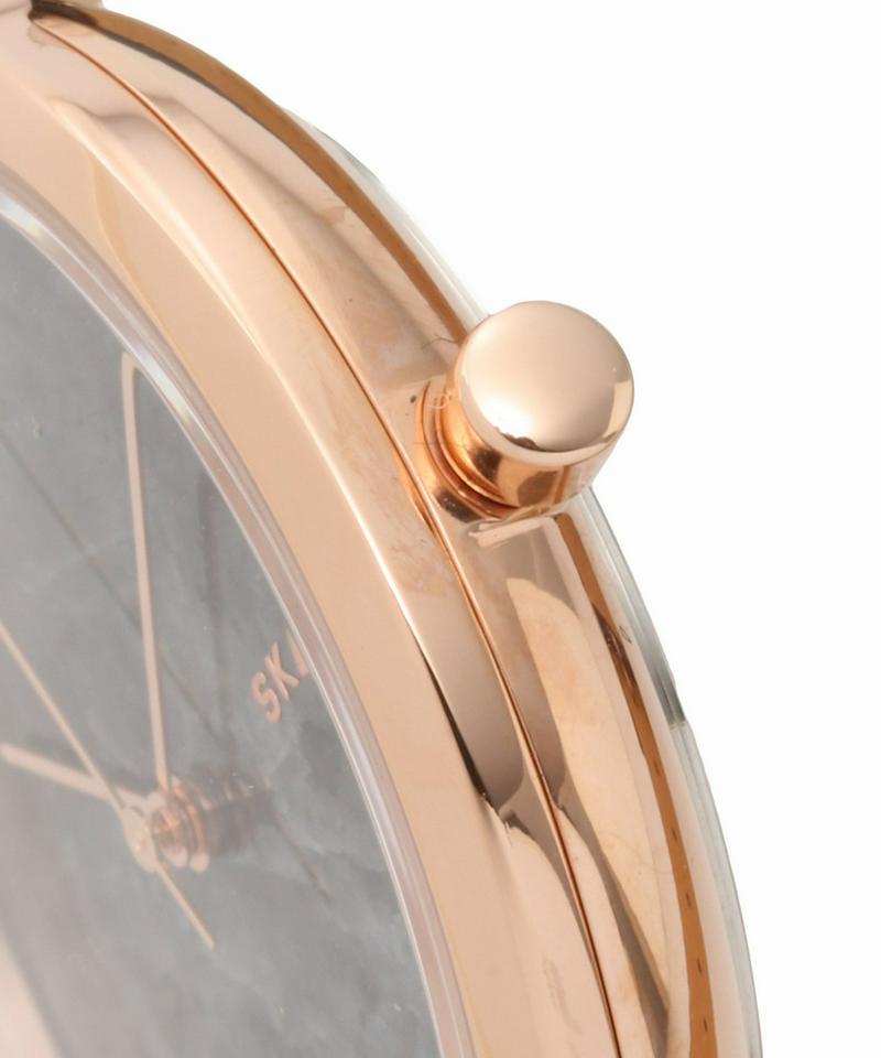 SKAGEN SKW2672