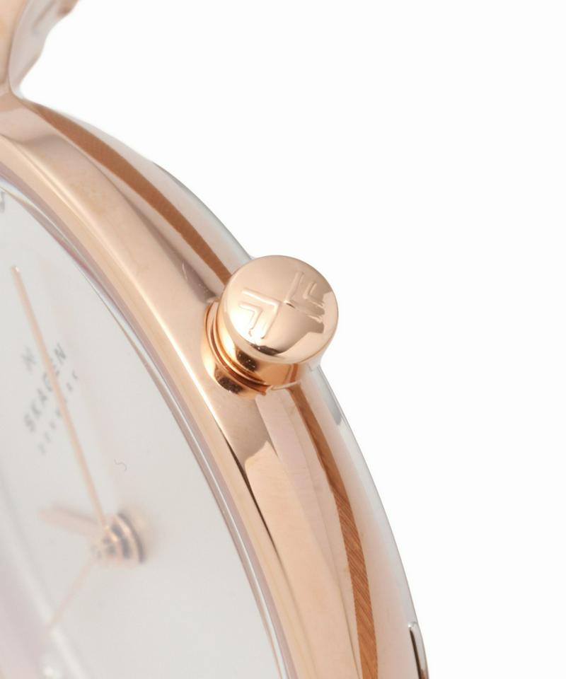 SKAGEN SKW2151