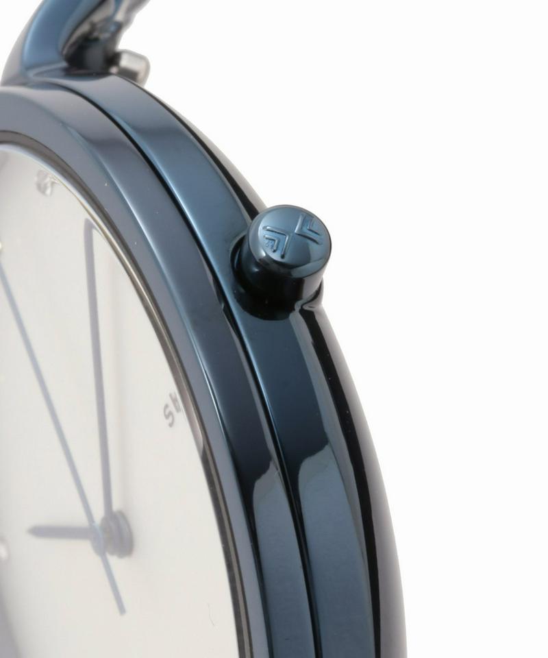 SKAGEN SKW2579