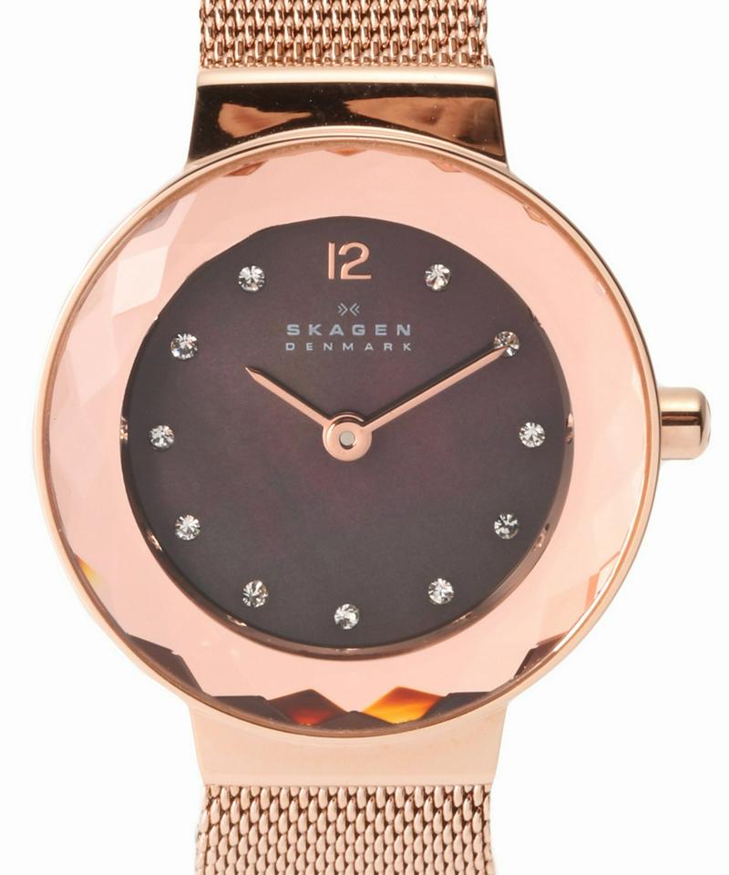 SKAGEN 456SRR1