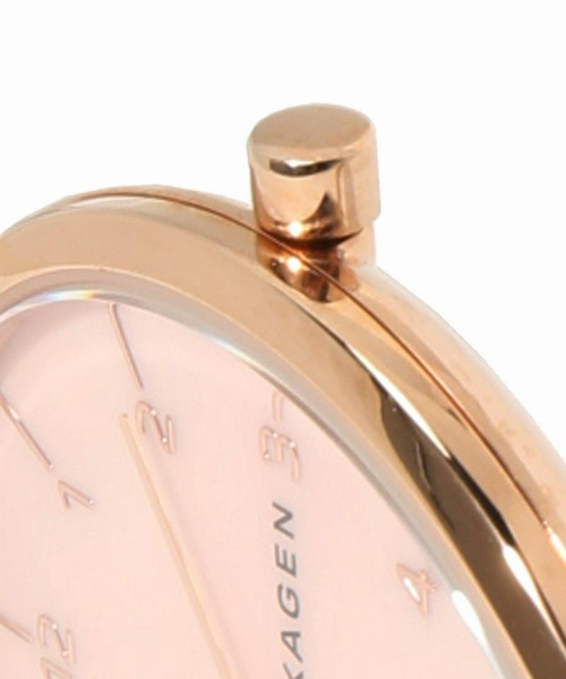 SKAGEN SKW2704