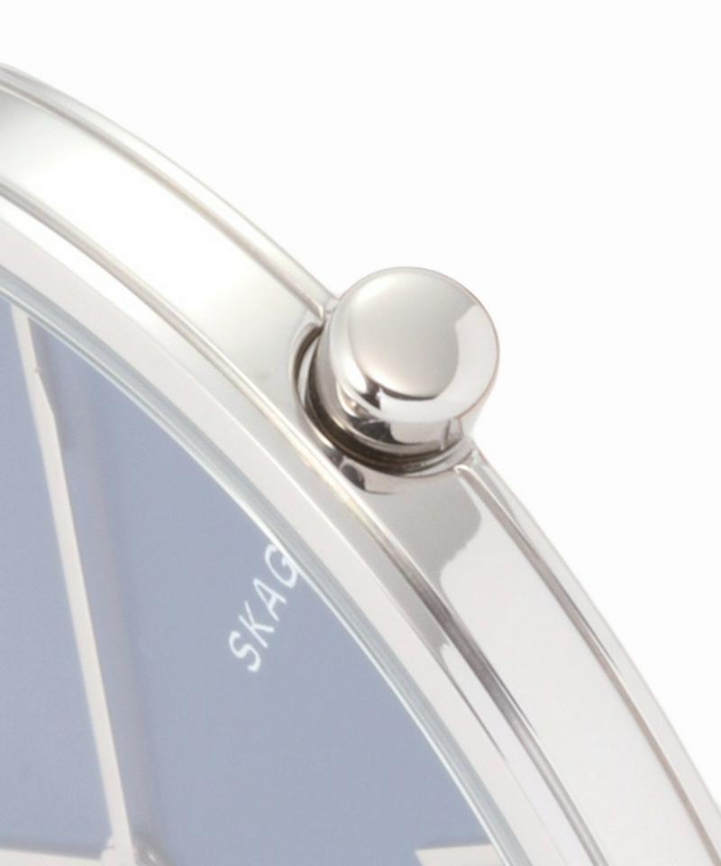 SKAGEN SKW6446