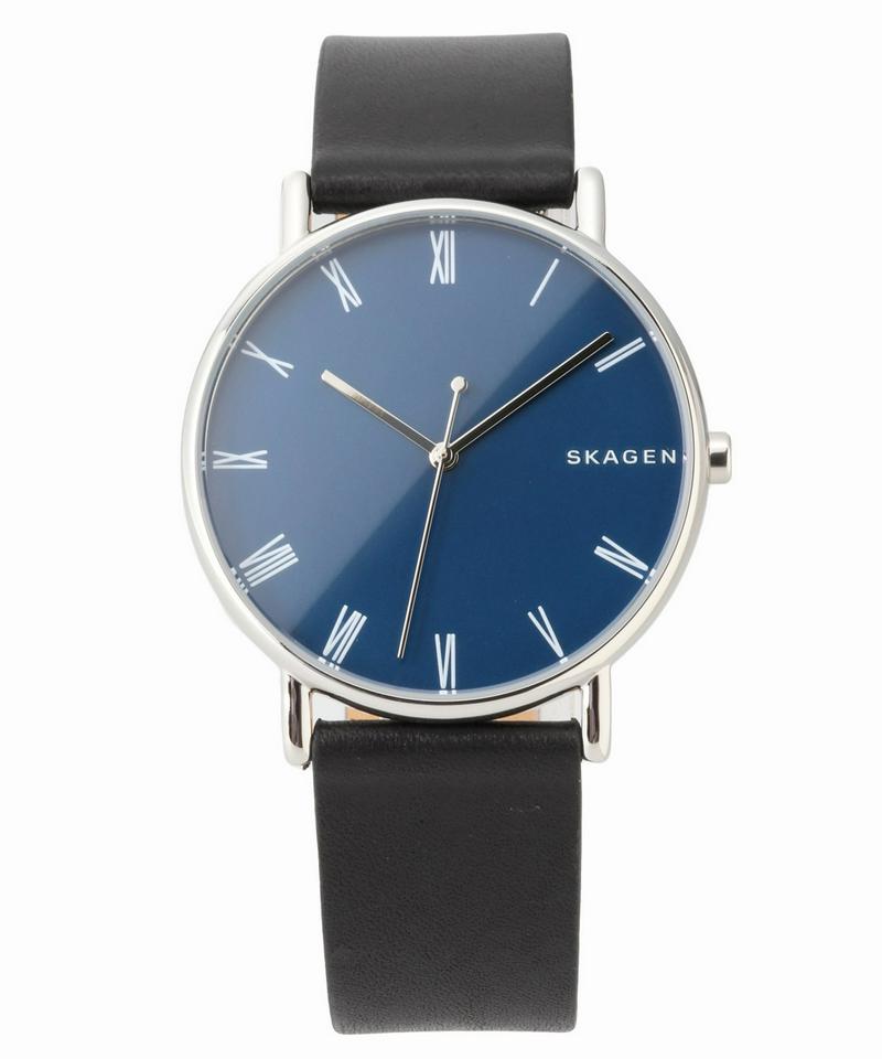 SKAGEN SKW6434