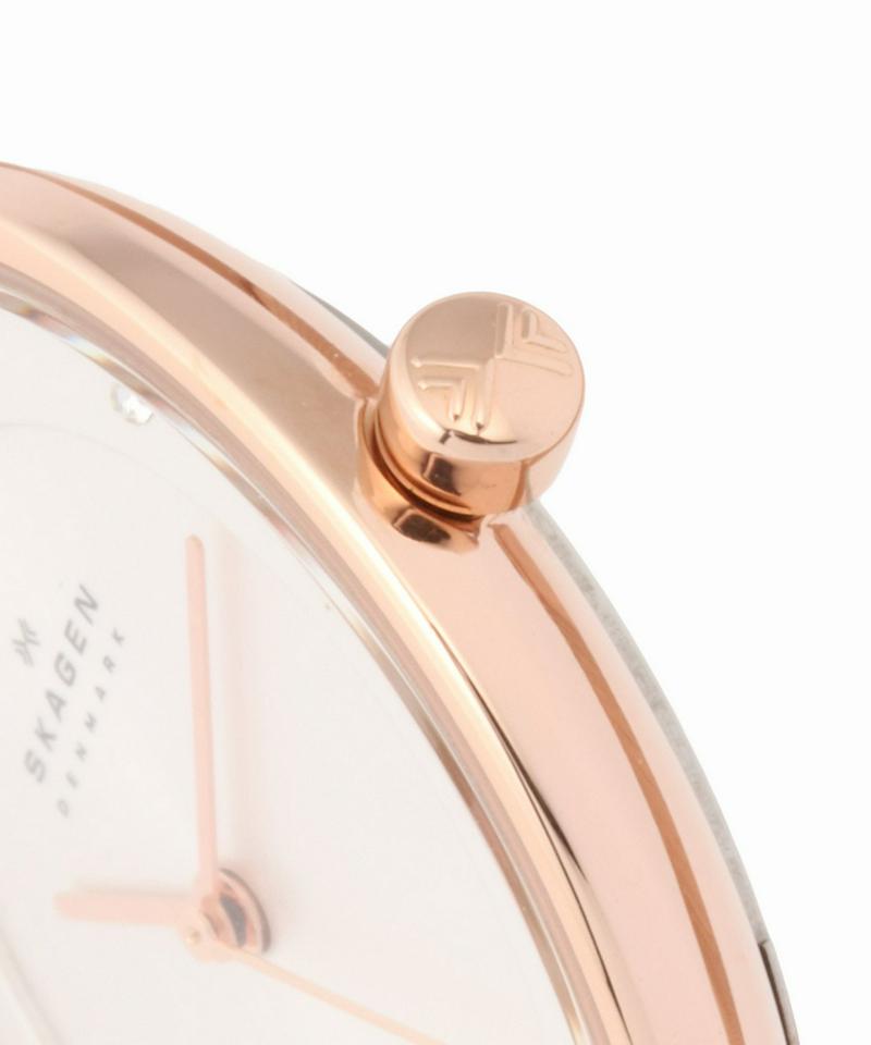 SKAGEN SKW2151