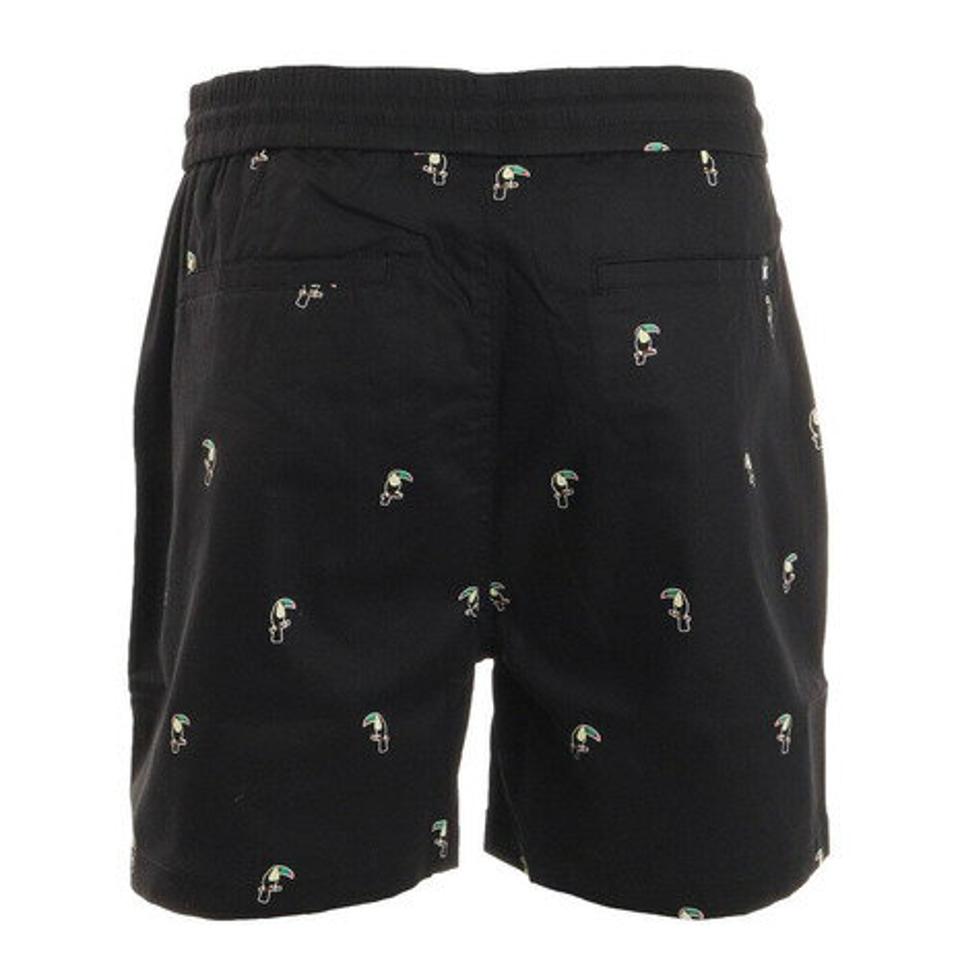 ハーレー(HURLEY)(メンズ)ショートパンツ PARTYP VOLLEY18 CZ6537