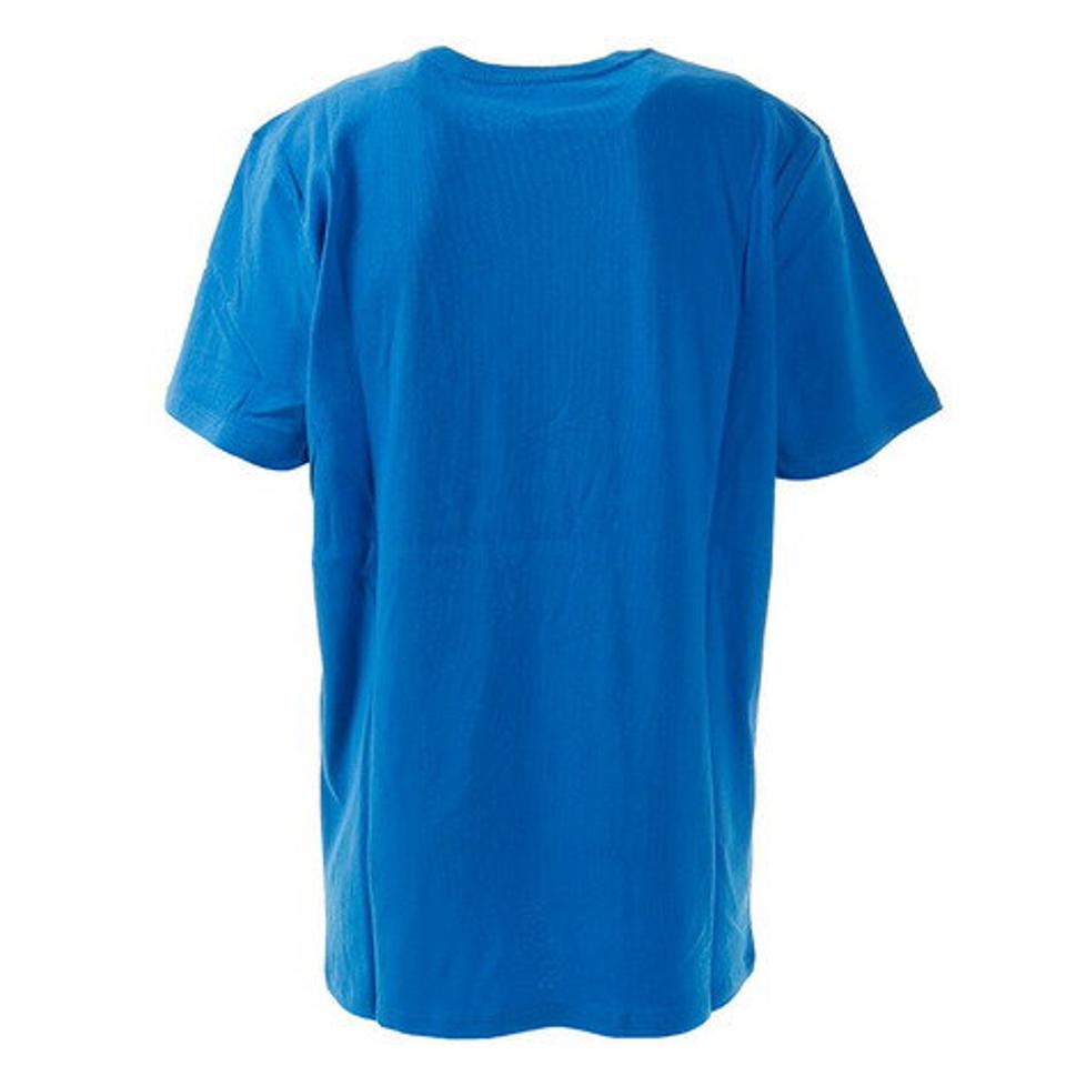 ハーレー(HURLEY) Tシャツ メンズ 半袖 SPG BOX GRDIEN MTSPBOXG-491 カットソー (メンズ)