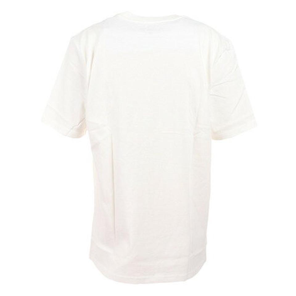 ハーレー(HURLEY)(メンズ)EVD WSH SHEILDSTRI 半袖Tシャツ 22 MSS2100R57-WHT