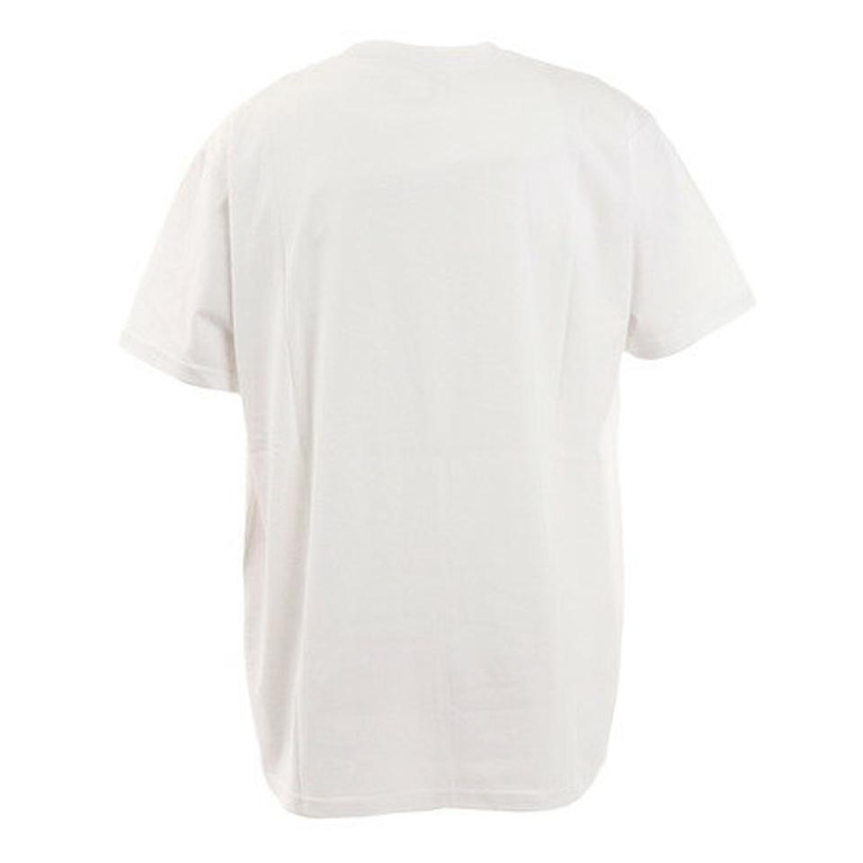 ディーシー・シュー（DC SHOE） Tシャツ メンズ 半袖 XLTD バンダナ柄ポケット 21SUDST212035XWHT カットソー （メンズ）