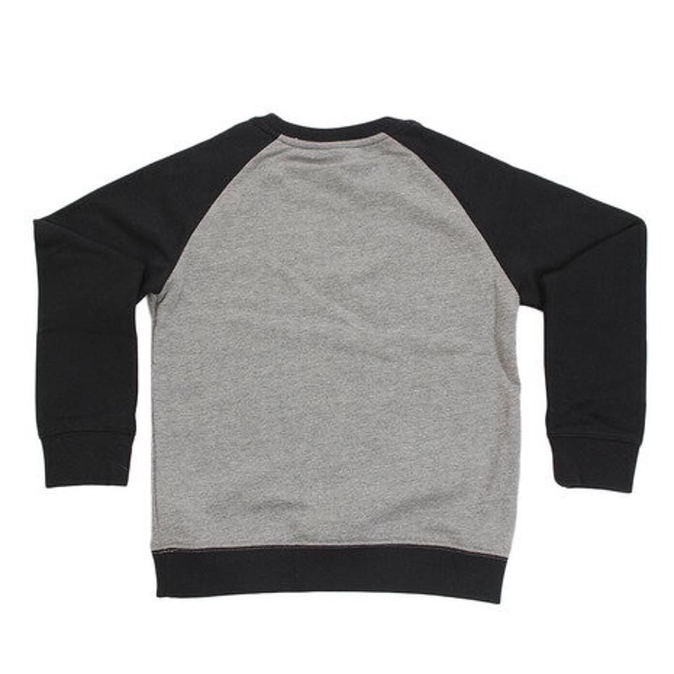 ジョーダン（JORDAN） JUMPMAN AIR クルーネック スウェット 855839-GEH オンライン価格 （キッズ）