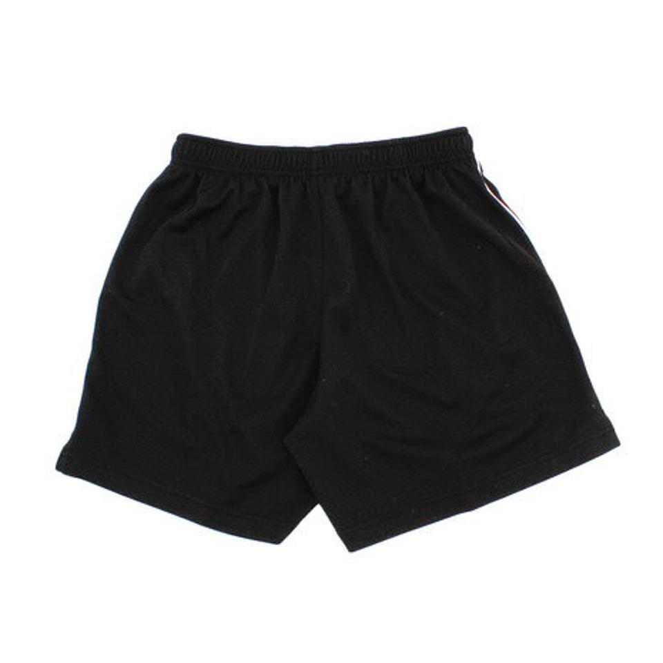 【1/10 24h限定 エントリー&対象4店舗買い回りで最大P10倍!】バタフライ(Butterfly)(メンズ)パステップ・パンツ2 51970-280 SLV 卓球ウェア