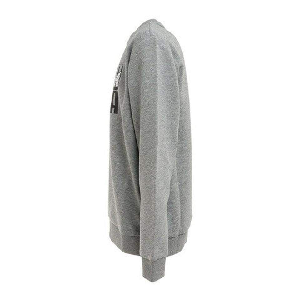 プーマ（PUMA）（キッズ）ジュニア スウェット トレーナー POWER クルースウェット TR 672603