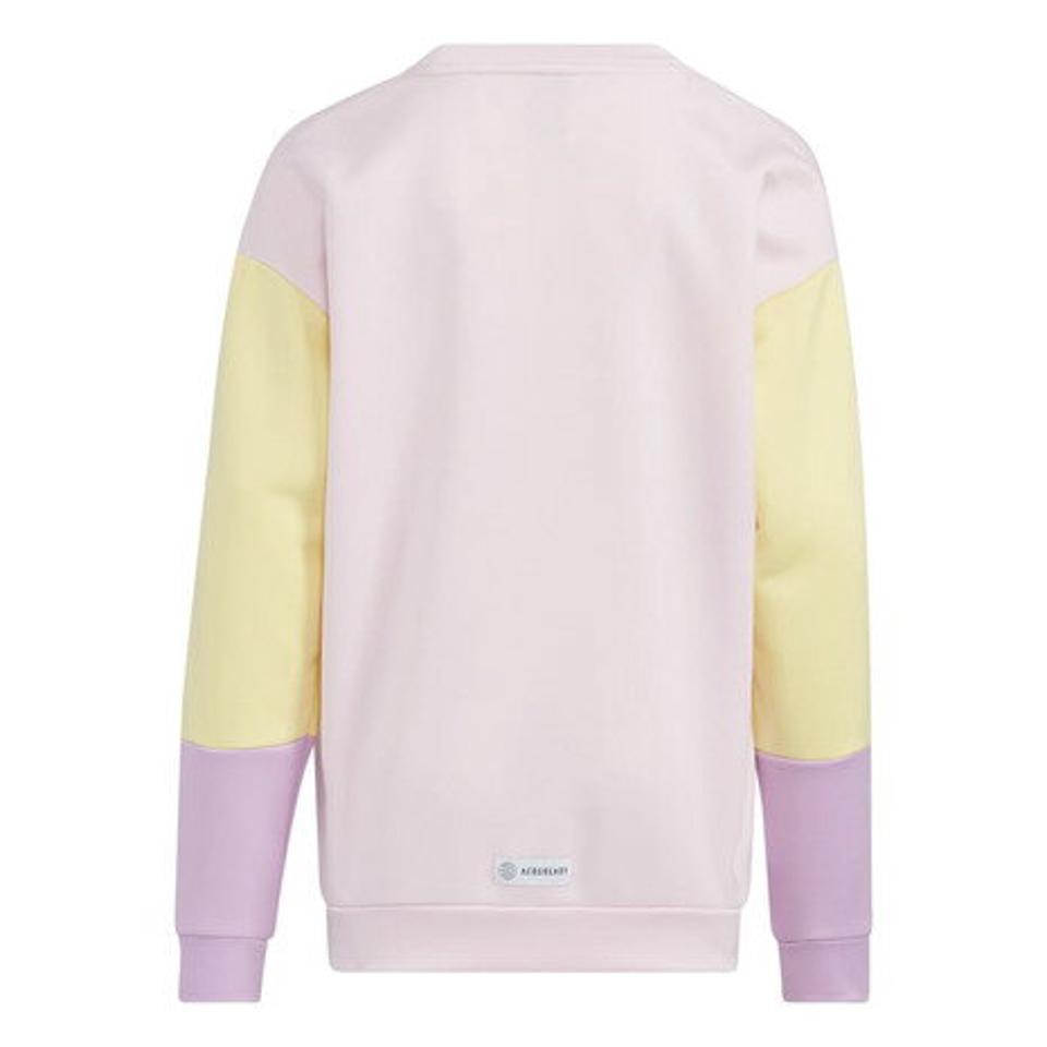 アディダス（adidas）（キッズ）ジュニア カラーブロック ニット クルーネックスウェット SS069-HM7184