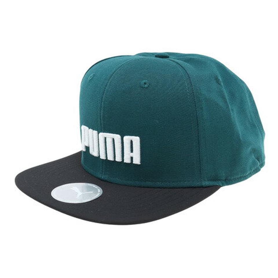 【6/5 24h限定 エントリー＆対象4店舗買い回りで最大P10倍！】プーマ（PUMA）（メンズ、レディース）フラットブリム キャップ 02385805