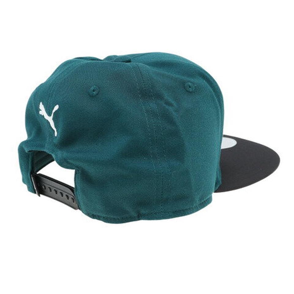 【6/5 24h限定 エントリー＆対象4店舗買い回りで最大P10倍！】プーマ（PUMA）（メンズ、レディース）フラットブリム キャップ 02385805