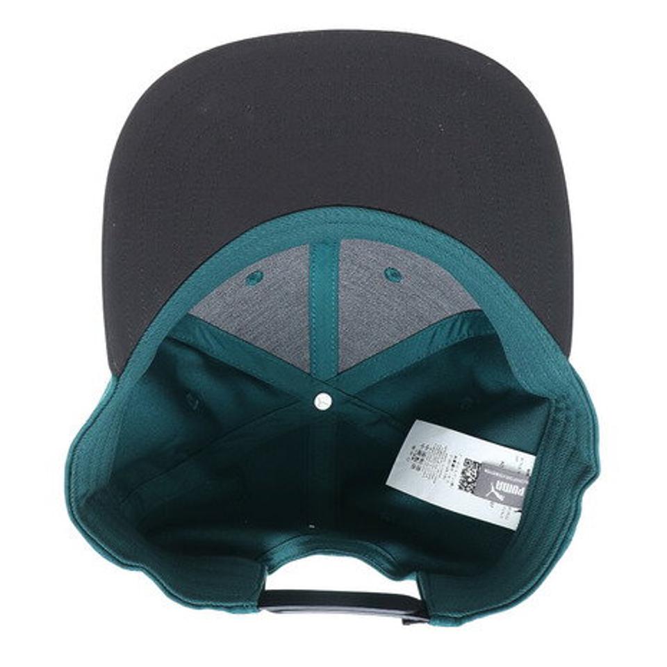 【6/5 24h限定 エントリー＆対象4店舗買い回りで最大P10倍！】プーマ（PUMA）（メンズ、レディース）フラットブリム キャップ 02385805