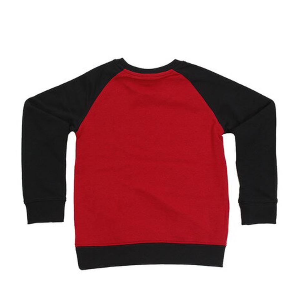 ジョーダン(JORDAN) JUMPMAN AIR クルーネック スウェット 855839-KR5 オンライン価格 (キッズ)