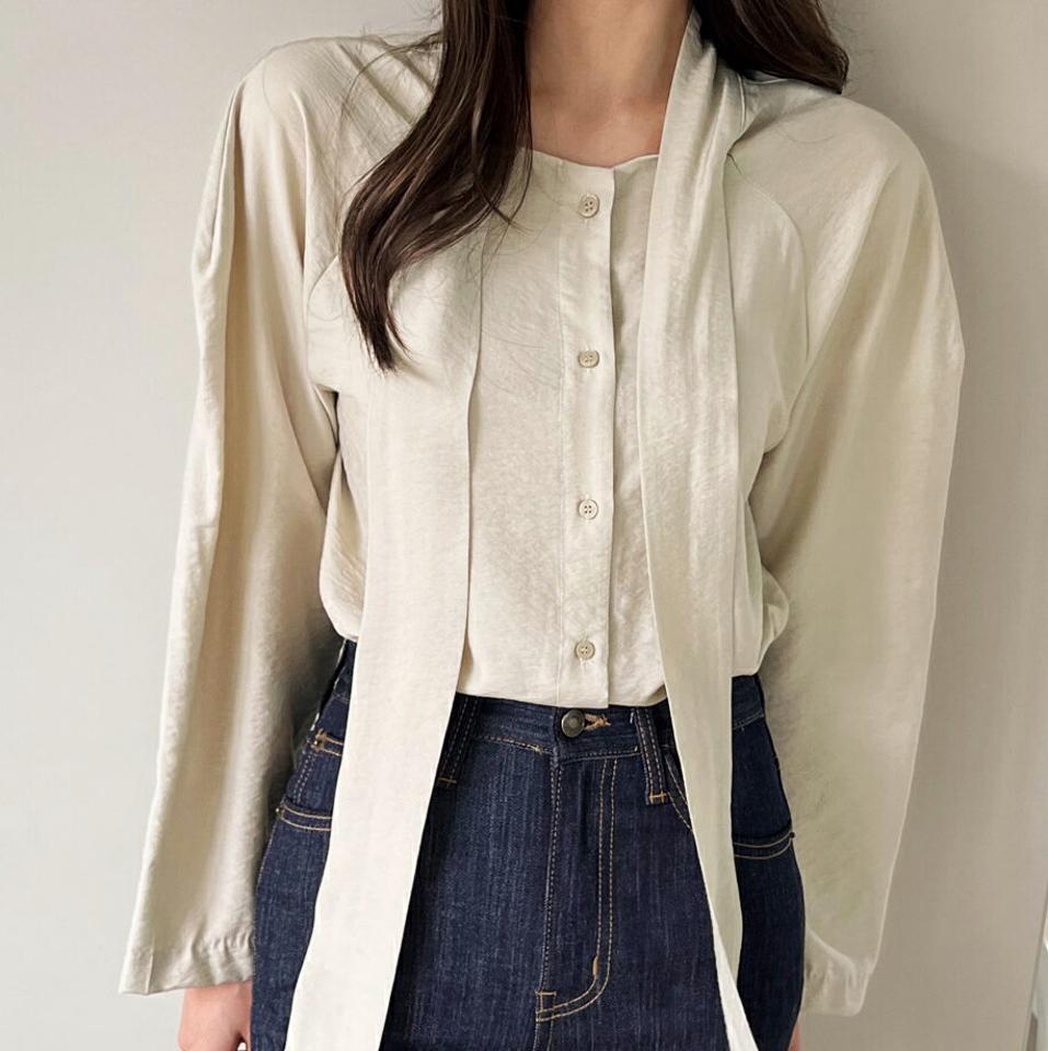 シアーネックリボンブラウス・t00004 レディース 【bl】トップス ブラウス 長袖 ボウタイ りぼん リボン 襟コン シアー シースルー 大人 かわいい 単色 無地 パフスリーブ デコラティブ オケージョン ボリューム袖 春 秋 フレンチ ボリュームスリーブ 韓国ファッション