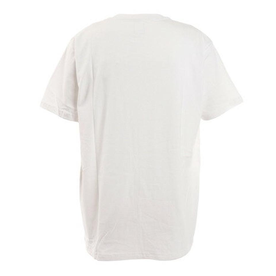 ディーシー・シュー(DC SHOE)(メンズ)Tシャツ メンズ 半袖 XLTD PHOTO 21SUDST212038XWHT2 カットソー