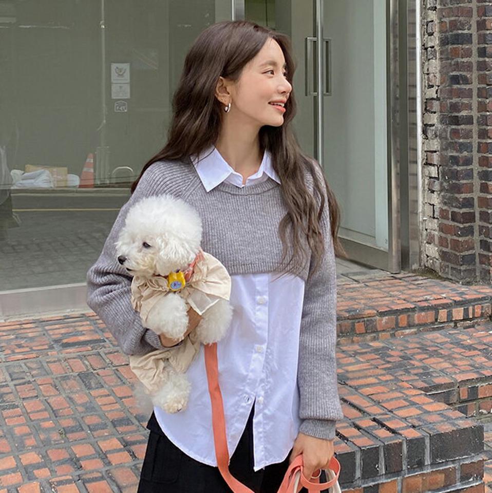 ラウンドネッククロップドニット・t00049 レディース 【tops】トップス ニット 長袖 レイヤード ラウンドネック ショート丈 単色 無地 シンプル ユニーク カジュアル 個性的 ベージュ リブ ラグランスリーブ アンバランス 秋 冬 韓国ファッション
