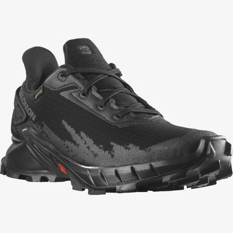サロモン（SALOMON）（レディース）ランニングシューズ レディース アルファクロス4 ALPHACROSS 4 GORE-TEX L47064100 スニーカー