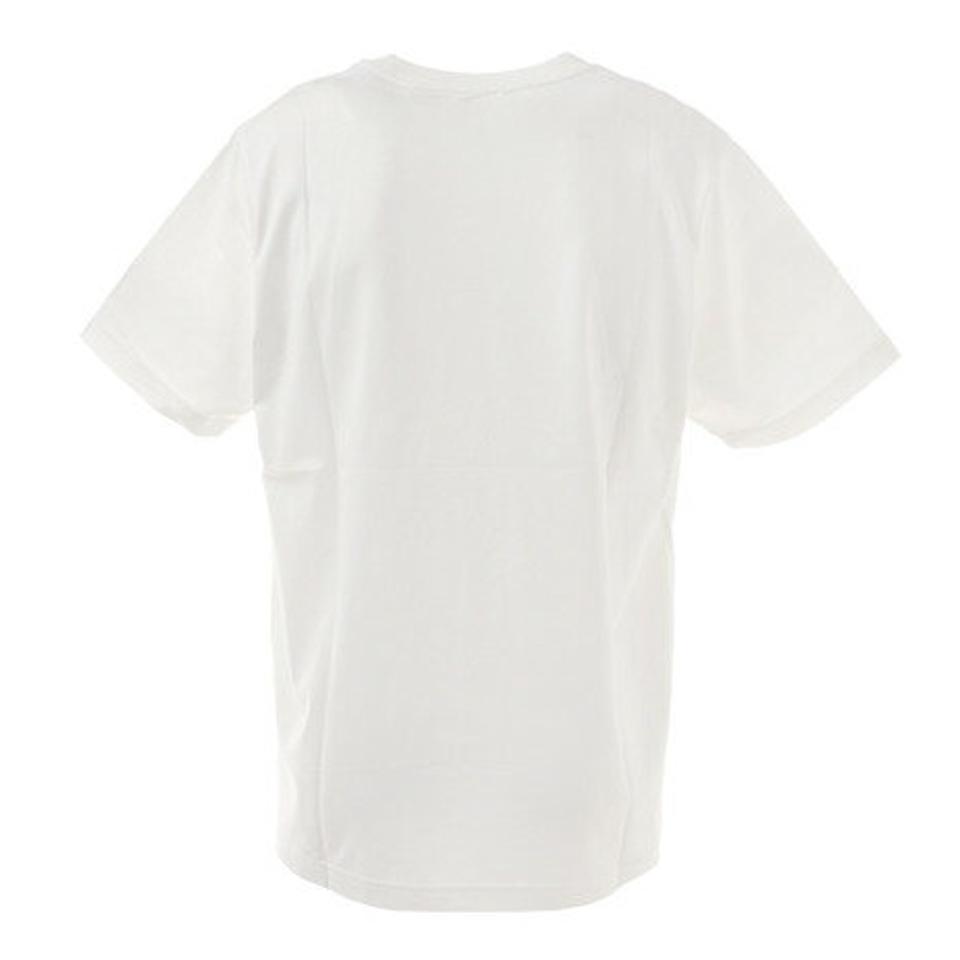 リーフ（REEF）（メンズ）Tシャツ メンズ 半袖 BOTANICAL RF20SP-1004SS-WH/GN カットソー