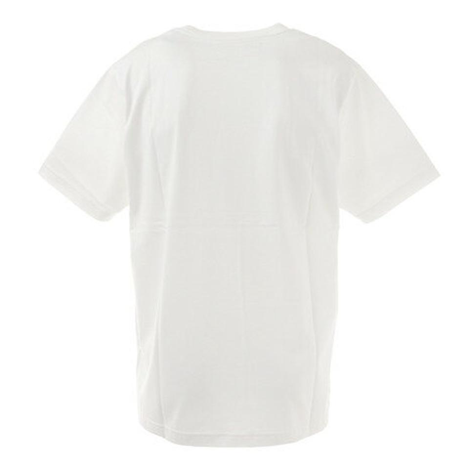 リーフ（REEF）（メンズ）Tシャツ メンズ 半袖 BOTANICAL RF20SP-1004SS-WH/BU カットソー