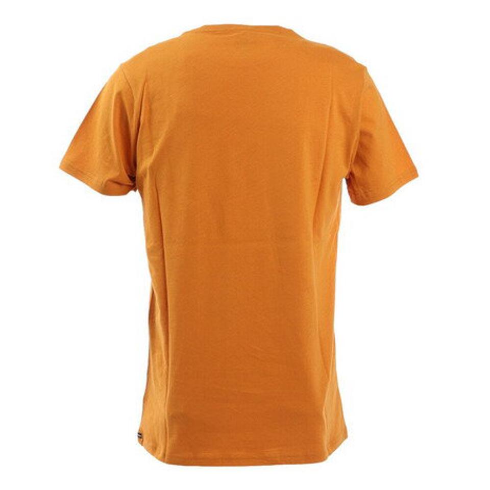 ボルコム（Volcom）（メンズ）Tシャツ メンズ 半袖 CRISP STONE 21AF511800 IGD カットソー