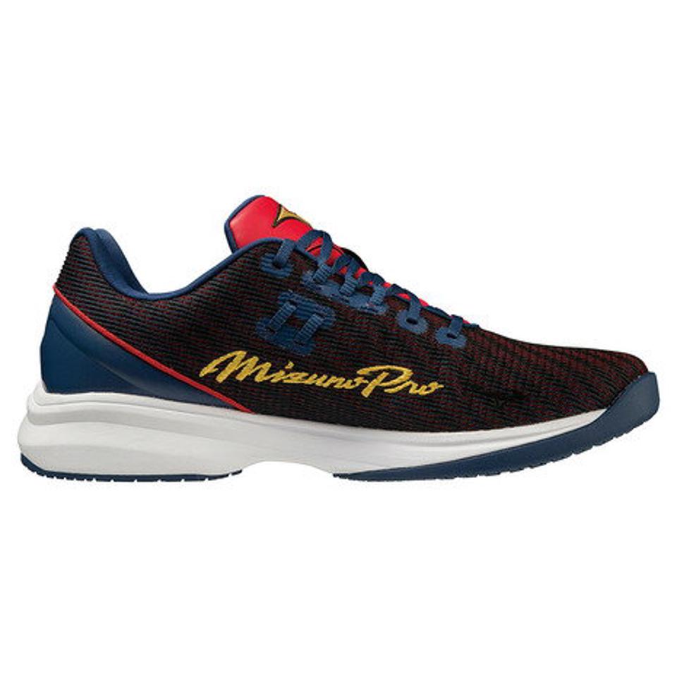 ミズノ（MIZUNO）（メンズ）野球 勝色コレクション トレーニングシューズ ミズノプロ ウエーブライトレボランプロ 11GT220129