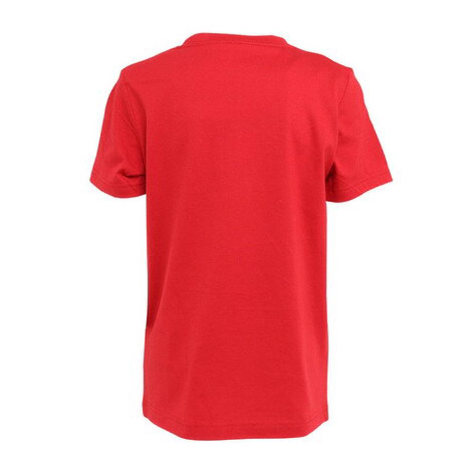 【4/10限定！エントリーで最大100％ポイントバック】ジョーダン（JORDAN）（キッズ）半袖Tシャツ キッズ PRACTICE FLIGHT 95A088-R78