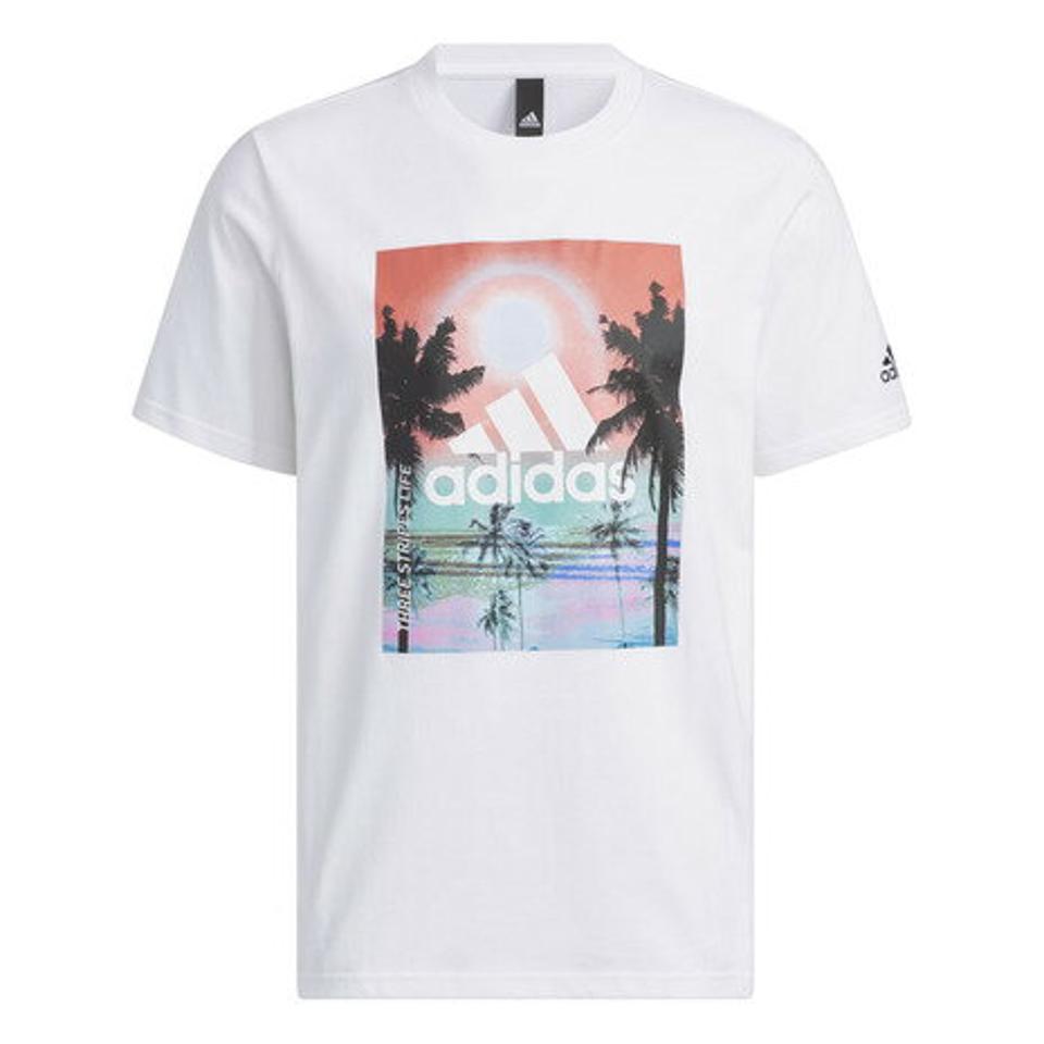 アディダス（adidas）（メンズ）半袖Tシャツ メンズ パームツリー レギュラーフィット IJG11-IK4283 IK4284 IK4285