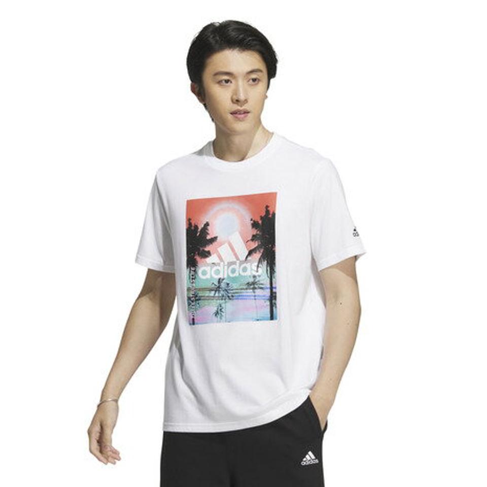 アディダス（adidas）（メンズ）半袖Tシャツ メンズ パームツリー レギュラーフィット IJG11-IK4283 IK4284 IK4285