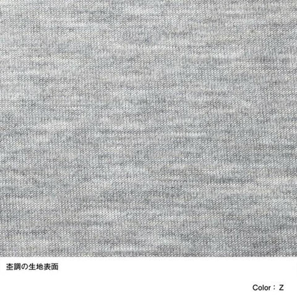 ノースフェイス（THE NORTH FACE）（メンズ）半袖Tシャツ メンズ リンガーティーTシャツ NT32373 Z