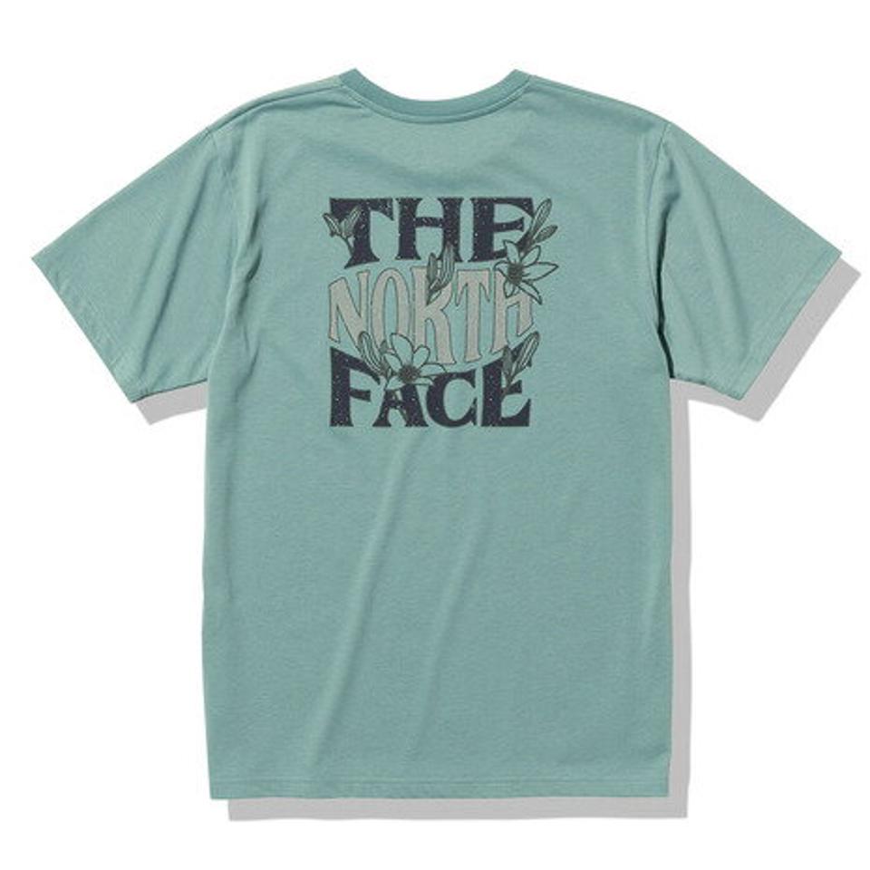 ノースフェイス(THE NORTH FACE)(メンズ)半袖Tシャツ メンズ ショートスリーブデイリリー NT32381