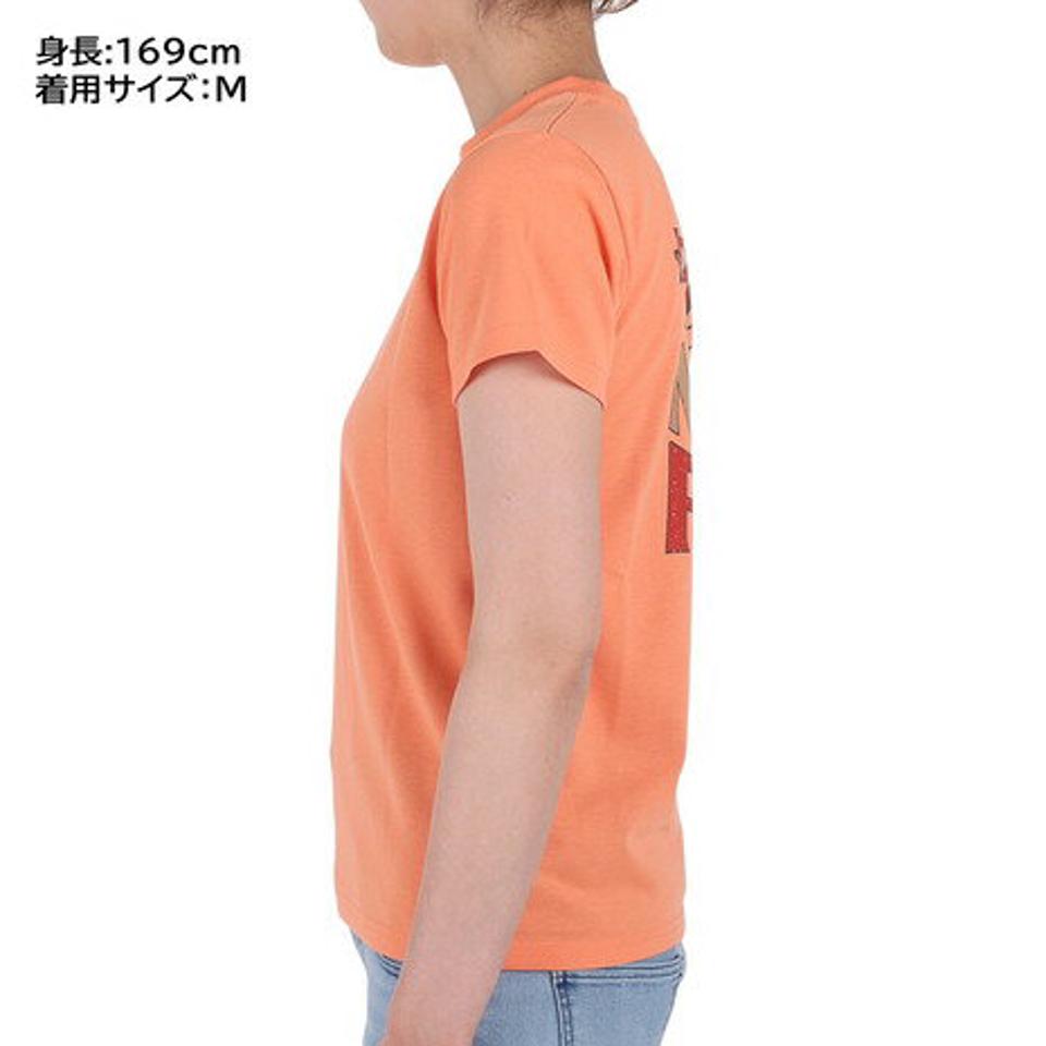 ノースフェイス(THE NORTH FACE)(レディース)半袖Tシャツ レディース デイリリーロゴティー NTW32381 DO