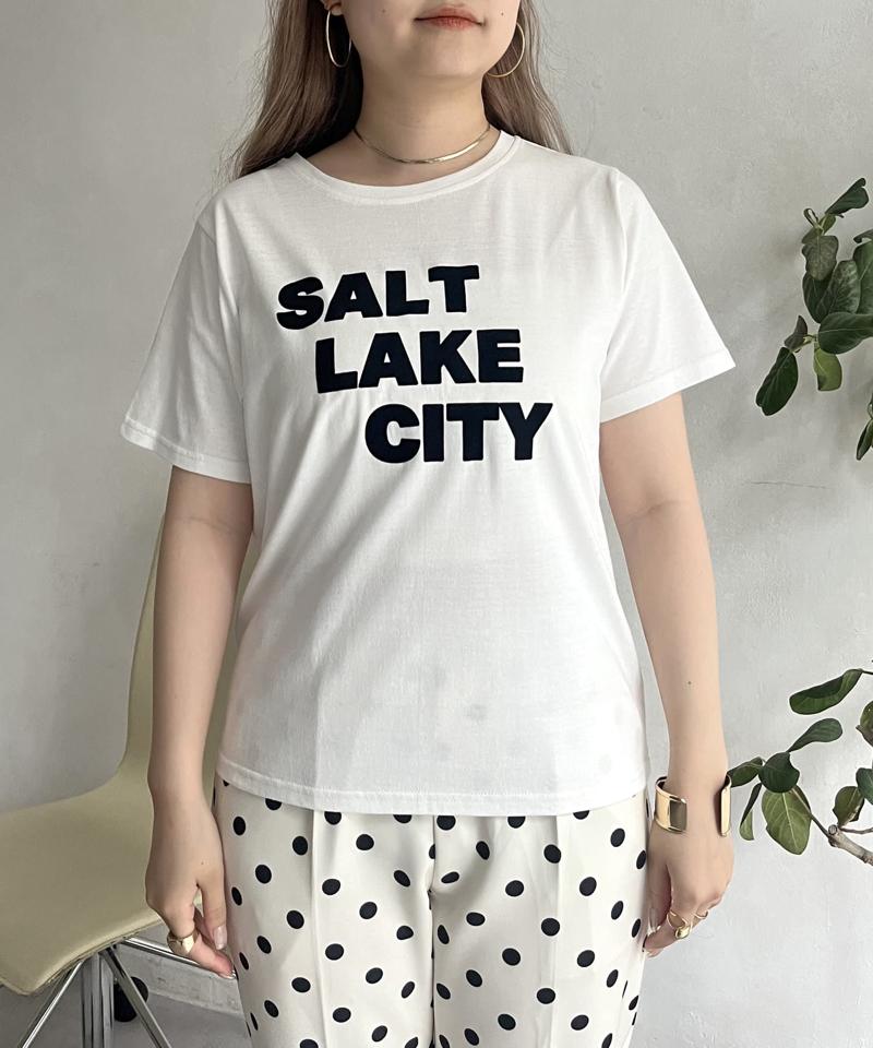 フロッキーロゴTシャツ