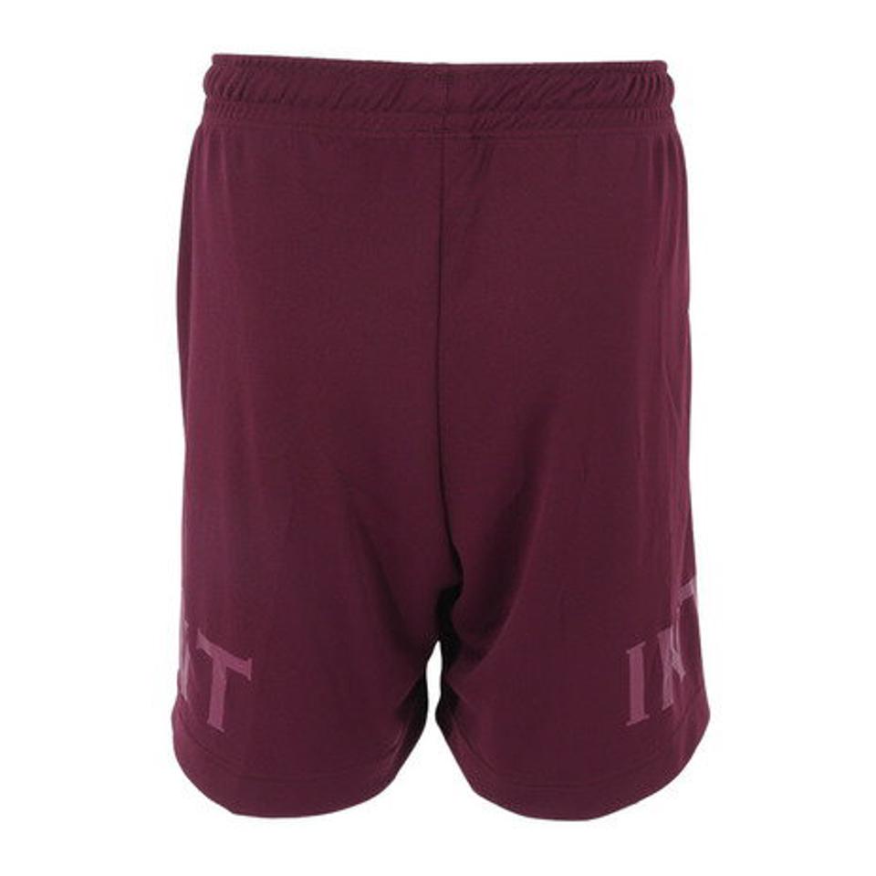 インザペイント（IN THE PAINT）（メンズ、レディース）バスパン バスケットボールウェア ショートパンツ ITP23311WINE
