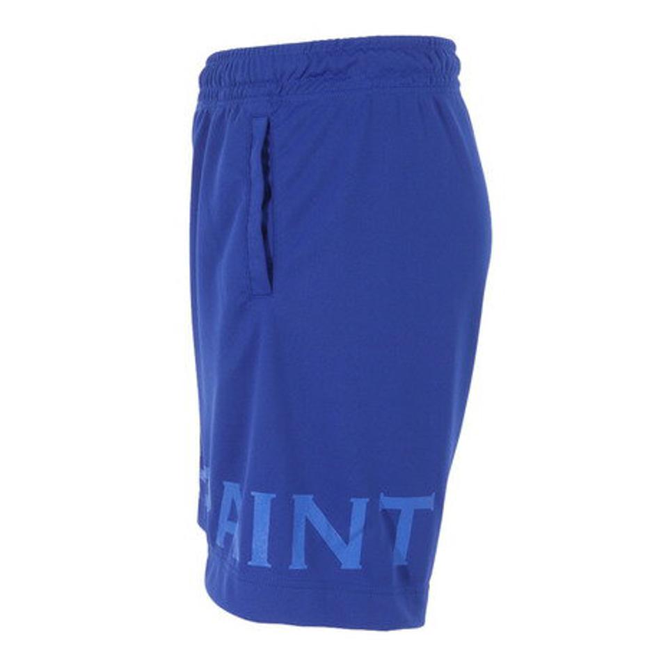 インザペイント（IN THE PAINT）（メンズ、レディース）バスパン バスケットボールウェア ショートパンツ ITP23311ROY