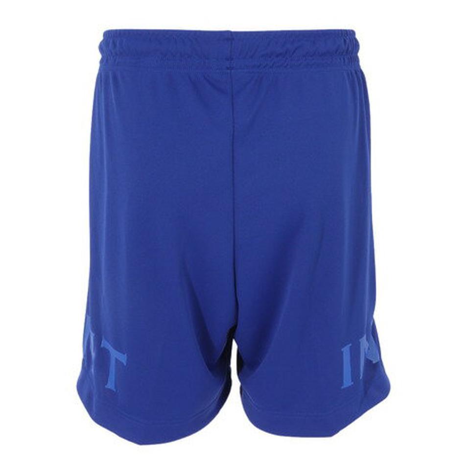 インザペイント（IN THE PAINT）（メンズ、レディース）バスパン バスケットボールウェア ショートパンツ ITP23311ROY