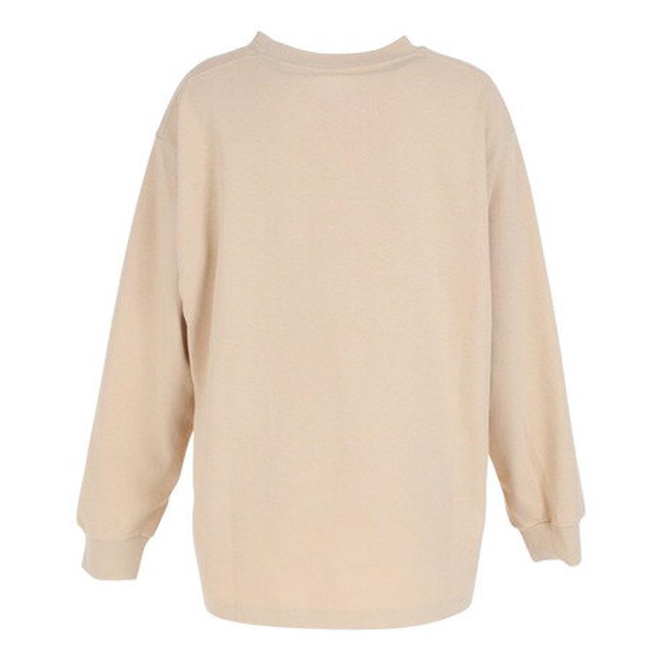 ヘリーハンセン(HELLY HANSEN)(レディース)長袖Tシャツ ロンT ロングスリーブ エンブロイダリーロゴTシャツ HE32333 BS ベージュ トップス 春