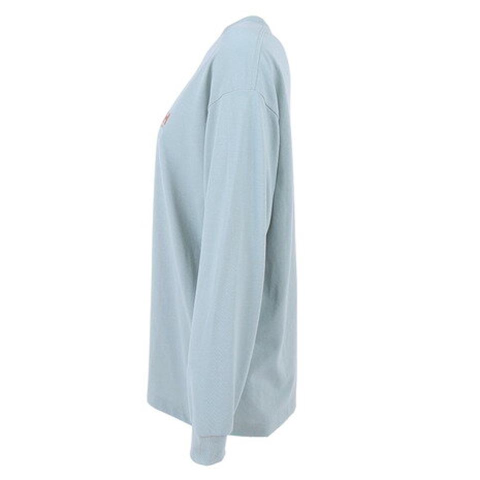 ヘリーハンセン(HELLY HANSEN)(レディース)長袖Tシャツ ロンT ロングスリーブ レターTシャツ HE32331 トップス 速乾 消臭 春